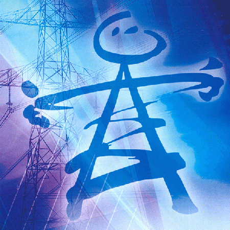 Электрические сети России 2006