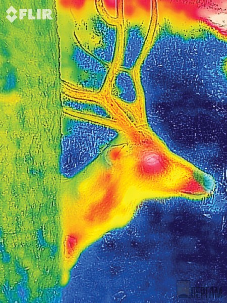Изображение с C2