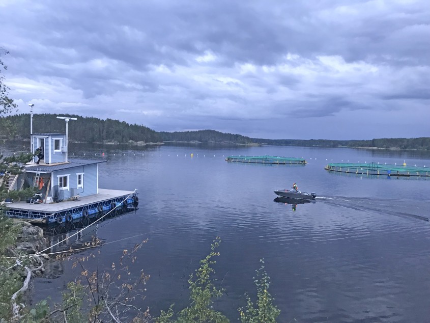 Радиолокационная охранная система на рыбхозяйстве