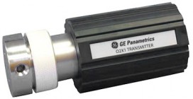 Измерительный датчик кислорода Panametrics O2X1