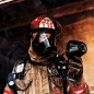 Пожарный с тепловизором FLIR K45